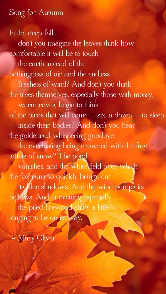 Mary Oliver Song for Autumn